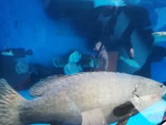 -泉城欧乐堡海洋极地世界