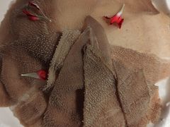 -田园肥牛府(东关街店)