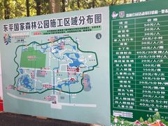-东平国家森林公园