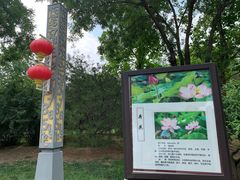 -燕郊植物园