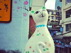 -猫咪博物馆(顶澳仔猫街店)