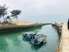 -贝壳沙滩