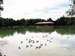 -西安浐灞国家湿地公园