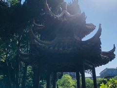 -嘉定紫藤园