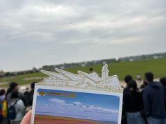 -盐城丹顶鹤湿地生态旅游区