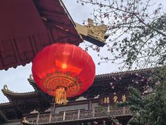 -越秀西湖花市(广州城市广场花卉店)