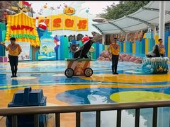 -海合安成都极地海洋公园