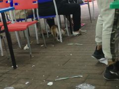 -玉园烧烤·海鲜辣炒