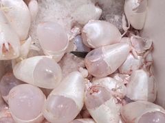 -沙田台山海鲜·酣客酒窖