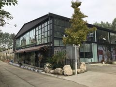 -桉树林A coffee 森林餐厅(三圣乡店)