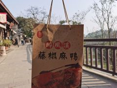 -五凤溪古镇