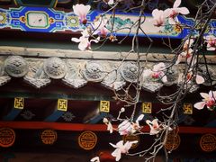景点-碑林公园