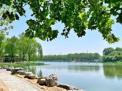 -大兴滨河森林公园