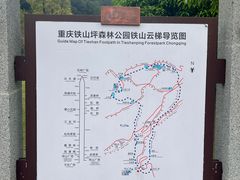 -铁山坪森林公园