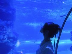 -左海海底世界