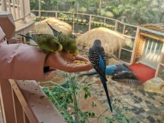 -南宫五洲植物乐园