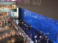 -成都浩海立方海洋公园