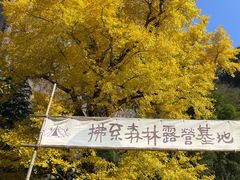 -四明山国家森林公园