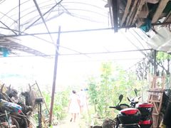 -马陆小张葡萄园农家乐