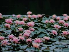 -茅家埠