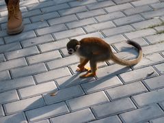 -南京金牛湖风景区