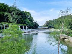 -广州市帽峰山景区