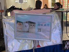 -金茂览秀城