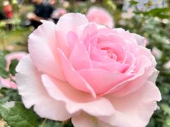 -人民公园(罗湖区)