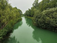 -贡湖湾湿地公园