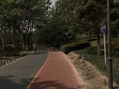 -大兴滨河森林公园