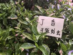 -花鸟鱼虫鲜花绿植市场(玉泉路店)