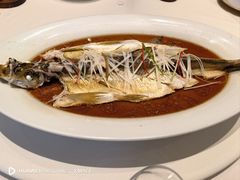 -丹江渔村(望京店)