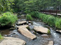 -汤旺河林海奇石景区