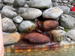 -三江森林温泉度假区