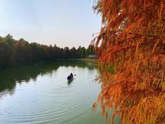 -上海海湾国家森林公园