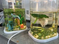 -seeu coffee(江滩店)