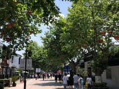 -蜜桃花开·中西融合菜E&W(南长街店)