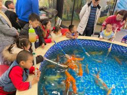 -悠游堂儿童乐园(公园茂店)