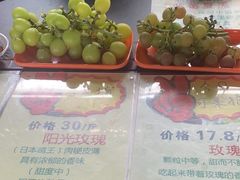 -马陆小张葡萄园农家乐