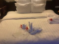 -三亚亚龙湾雅高铂尔曼别墅度假酒店