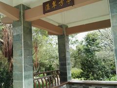 -玉树公园