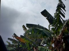 android_upload_pic-广州市石门国家森林公园
