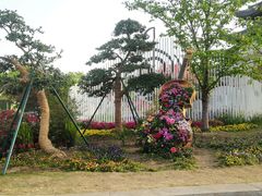 -苏州上方山国家森林公园