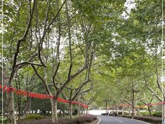-宜兴龙背山森林公园