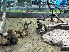 -深圳野生动物园