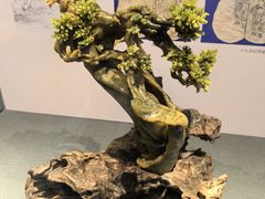 -日月昇渔家菜·海肠捞饭·大连海鲜(星海公园店)