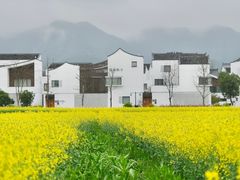 -东梓关景区村庄