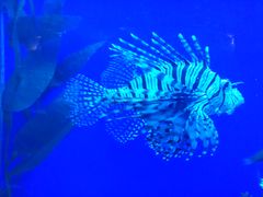 -常州海昌海洋探索馆