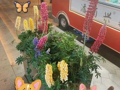 -南京西路(地铁站)