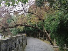 -房湖公园